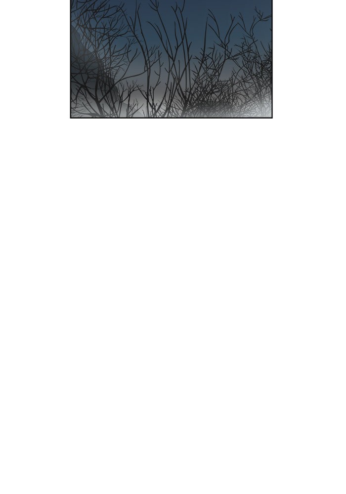 Escort Warrior 110 71